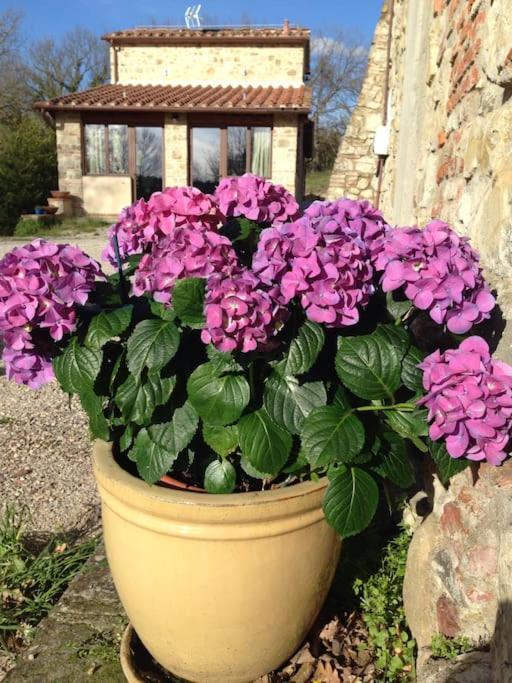 Faetole Typical Tuscan Country House Near Florence Capannuccia 外观 照片
